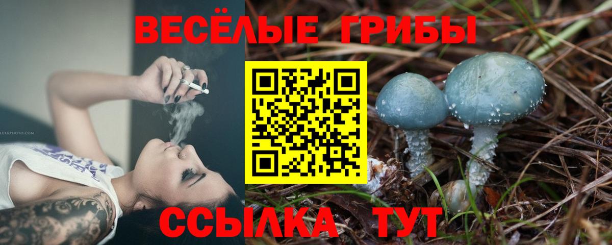 Псилоцибиновые грибы мухоморы Санкт-Петербург